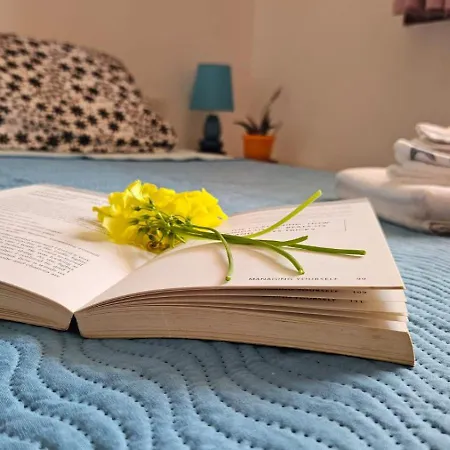 Manu House Apartman *