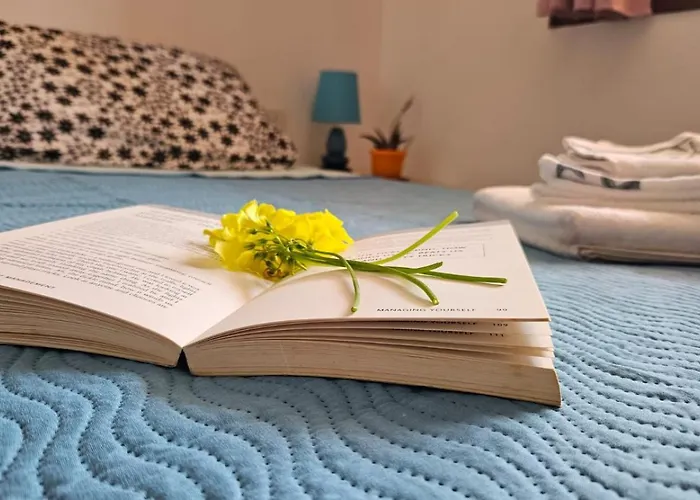 Manu House Appartement *